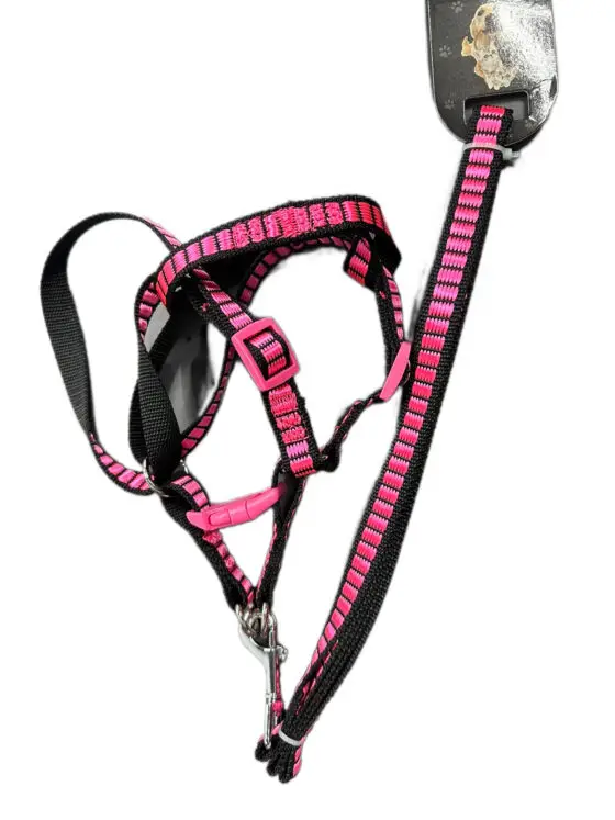 6-64 Поводок + Шлейка 1,5cm*1,2m