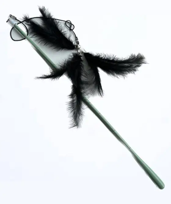 7-35 дочка с перьями